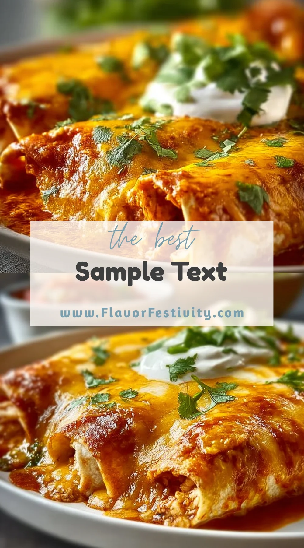 High Protein Chicken Enchiladas 6 High Protein Chicken Enchiladas